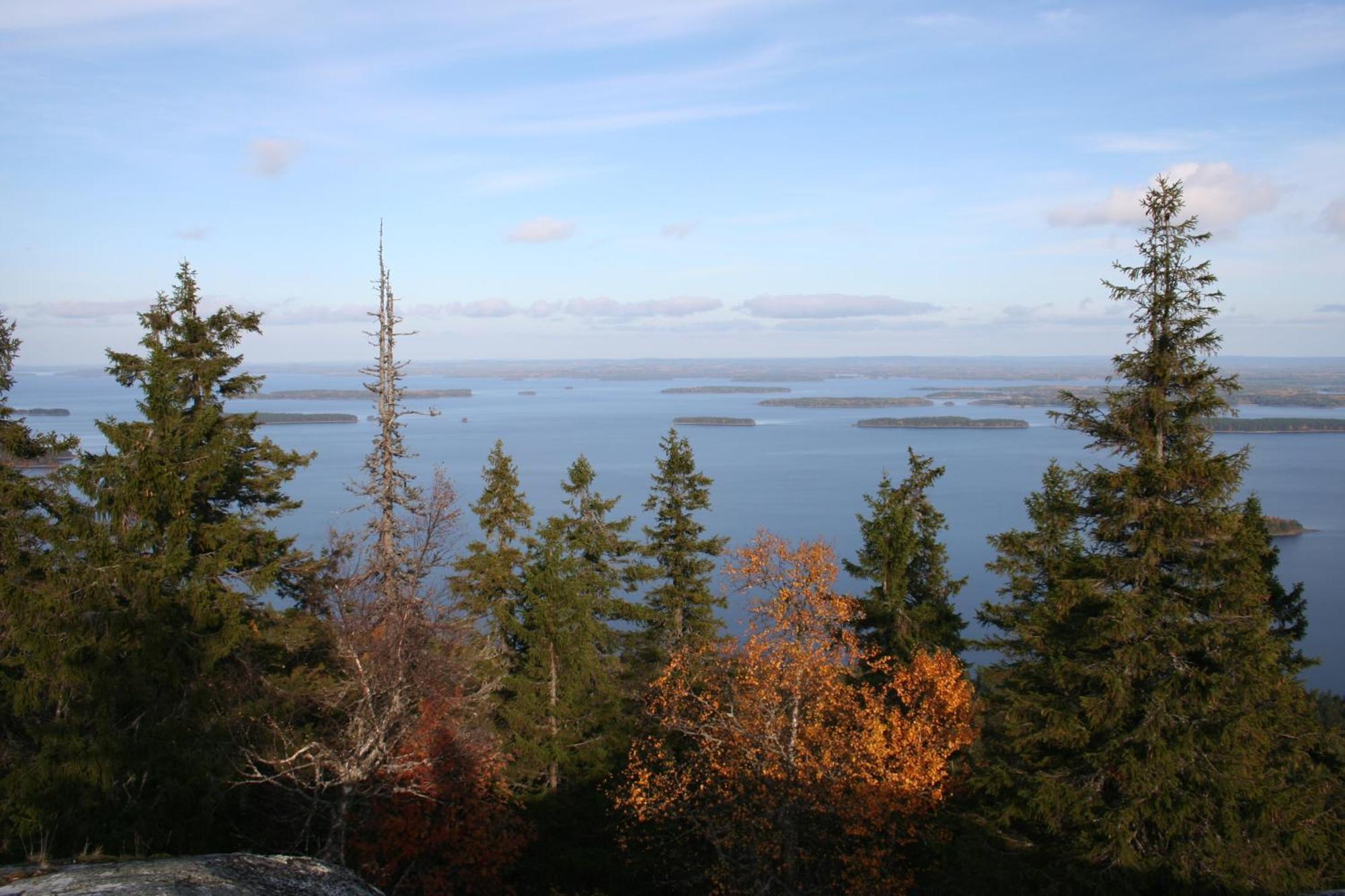Guesthouse Koli Freetime Ahmovaara Exterior foto
